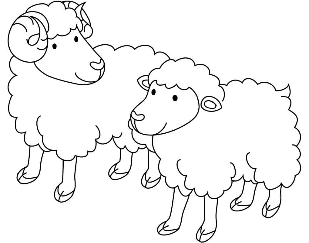 Hình ảnh Phim Hoạt Hình đơn Giản Hình Con Cừu Vẽ Tay Minh Họa Png PNG Miễn  Phí Tải Về - Lovepik