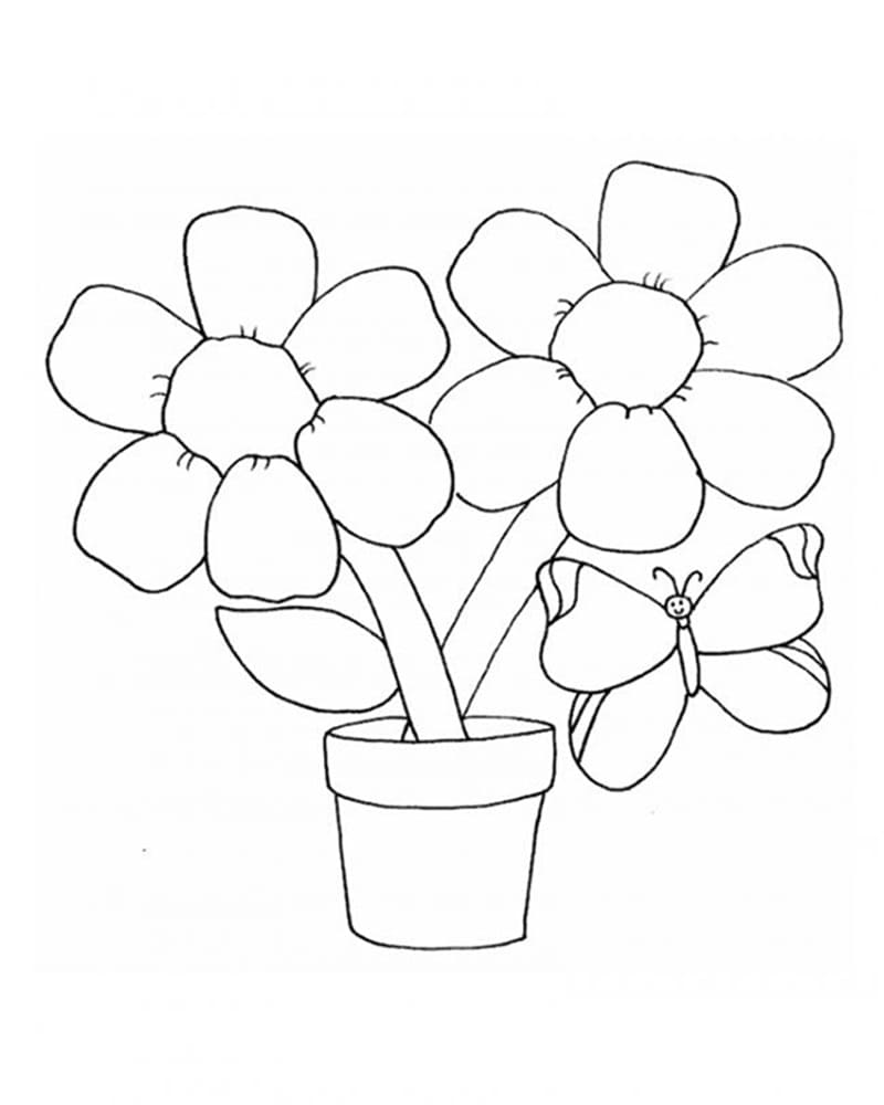 Tô màu Bông Hoa 6 Cánh và Bươm Bướm