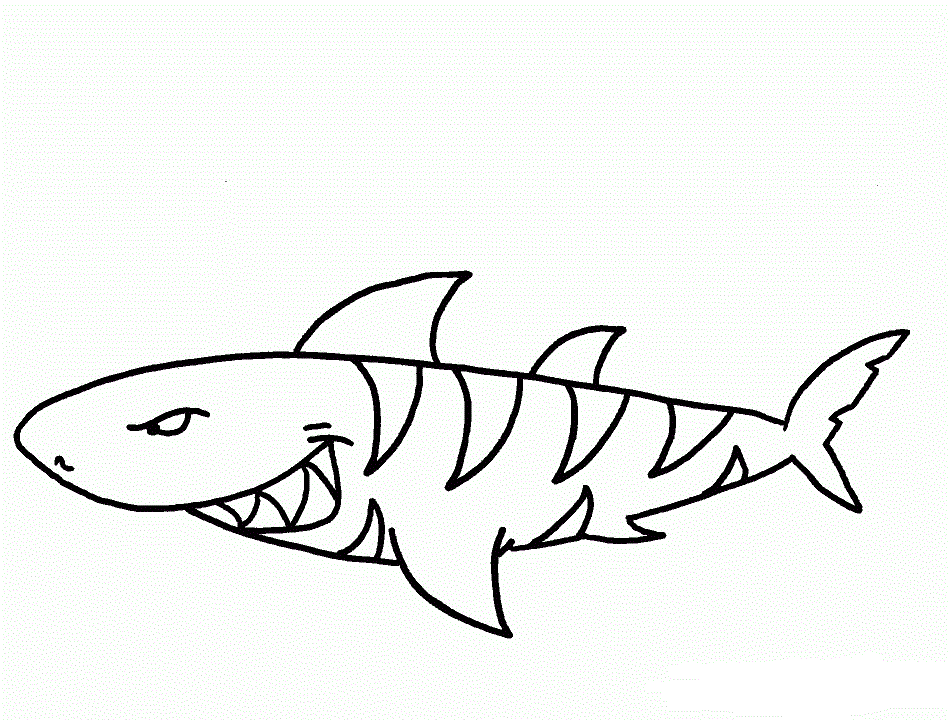 Tô màu cá mập hổ