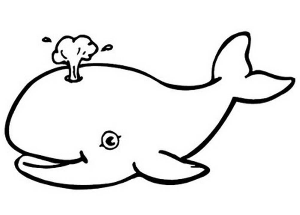 Tô màu Cá voi Đang Cười
