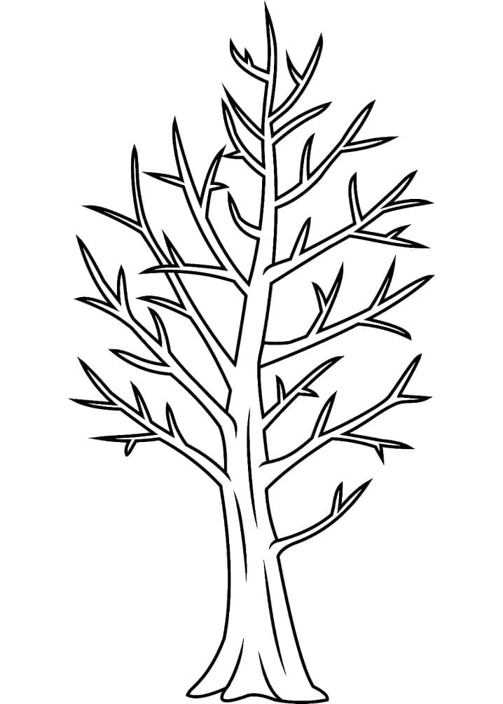 Tranh tô màu con vẹt và lá cây « in hình này