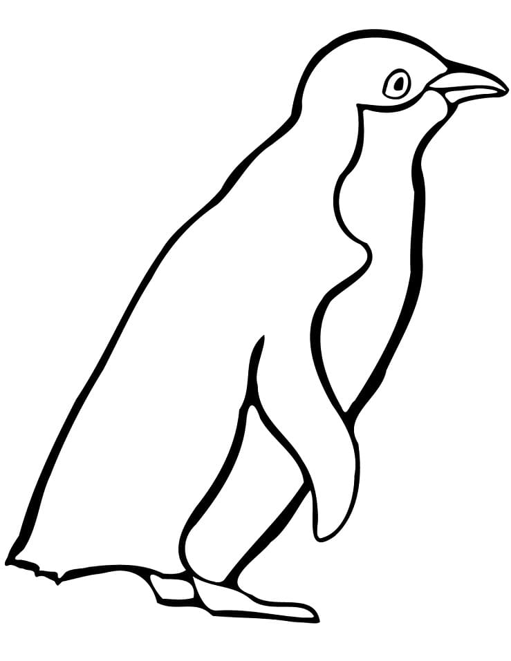 Hướng dẫn cách vẽ chim cánh cụt đơn giản với 8 bước ai cũng thực hiện được