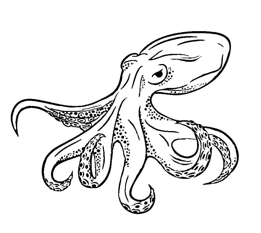 Vẽ hình #170: Vẽ và tô màu Con sứa | Drawing and colouring a Jellyfish -  YouTube