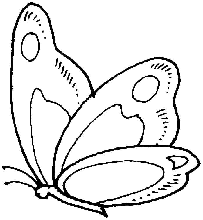 Bức tranh tô màu hình con bướm dành cho bé yêu