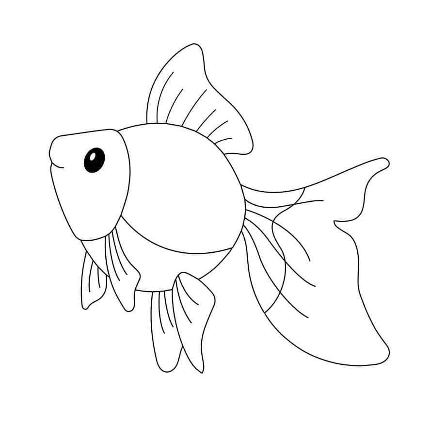 Vẽ và tô màu chú cá vàng rực rỡ | Dạy bé vẽ | Dạy bé tô màu | Fish Drawing  and Coloring for Kid - YouTube