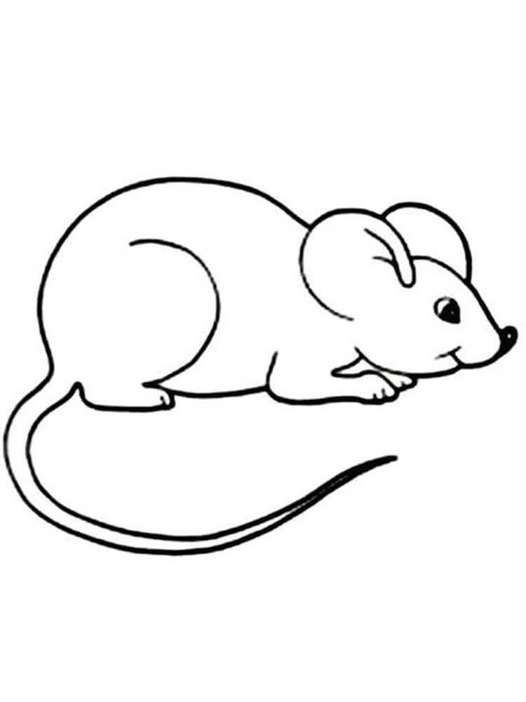 Tô màu con chuột chũi - Trang Tô Màu Cho Bé