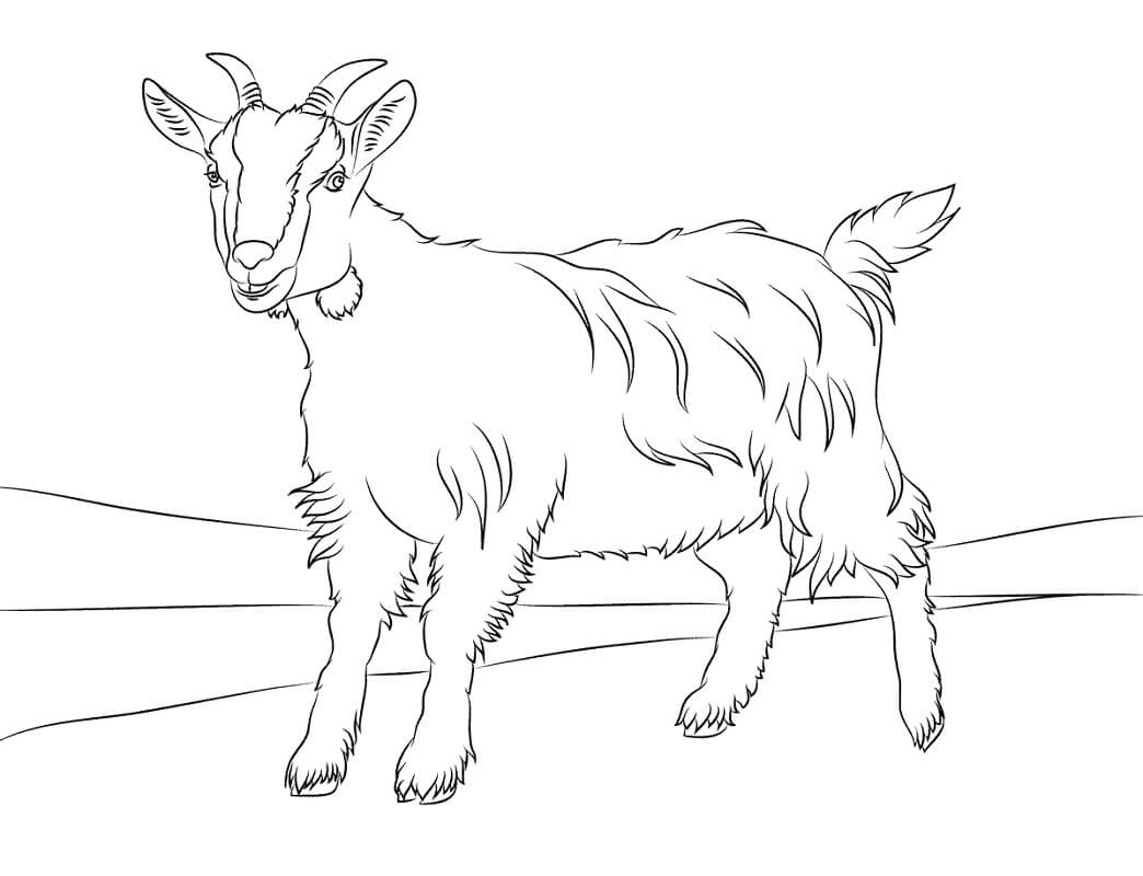 VẼ CON DÊ - Cách Vẽ Con Dê Đơn Giản Nhất - Draw a goat - YouTube