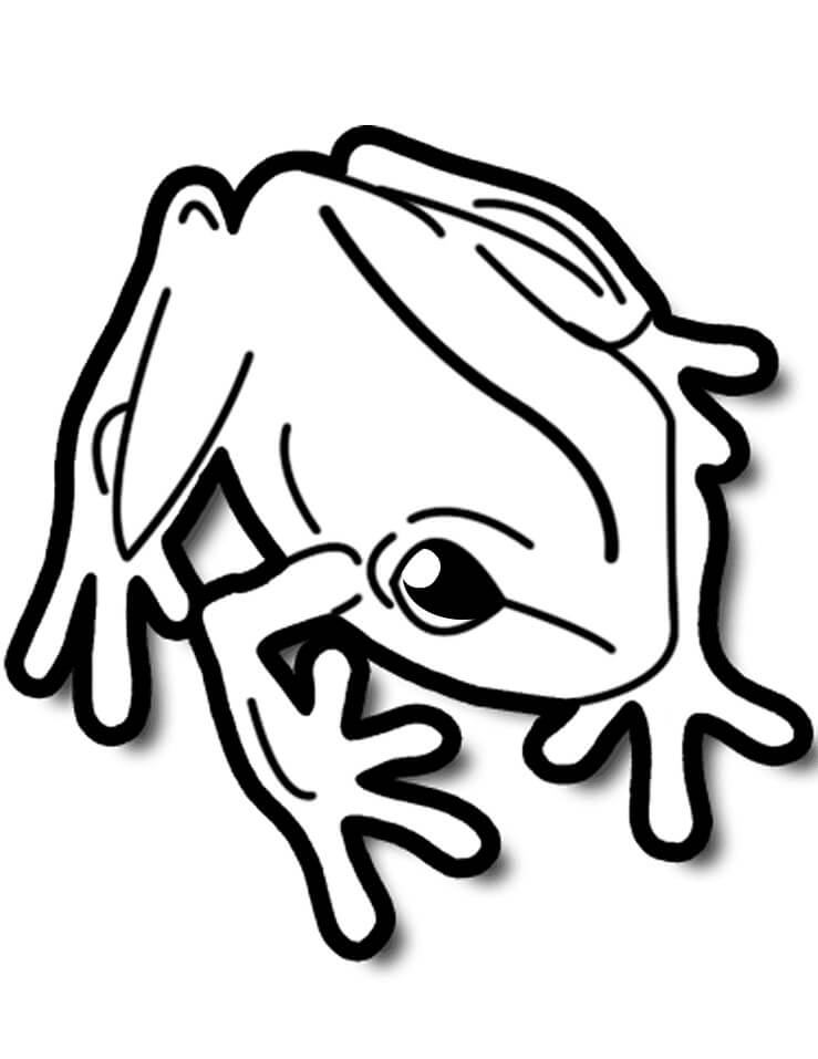 Hình ảnh Vẽ Trang Tô Màu Con ếch đội Vương Miện Cho Trẻ Em Minh Họa Hoàng  Tử Vectơ PNG , Vẽ Vương Miện, Vẽ ếch, Vẽ Chuột PNG và Vector với