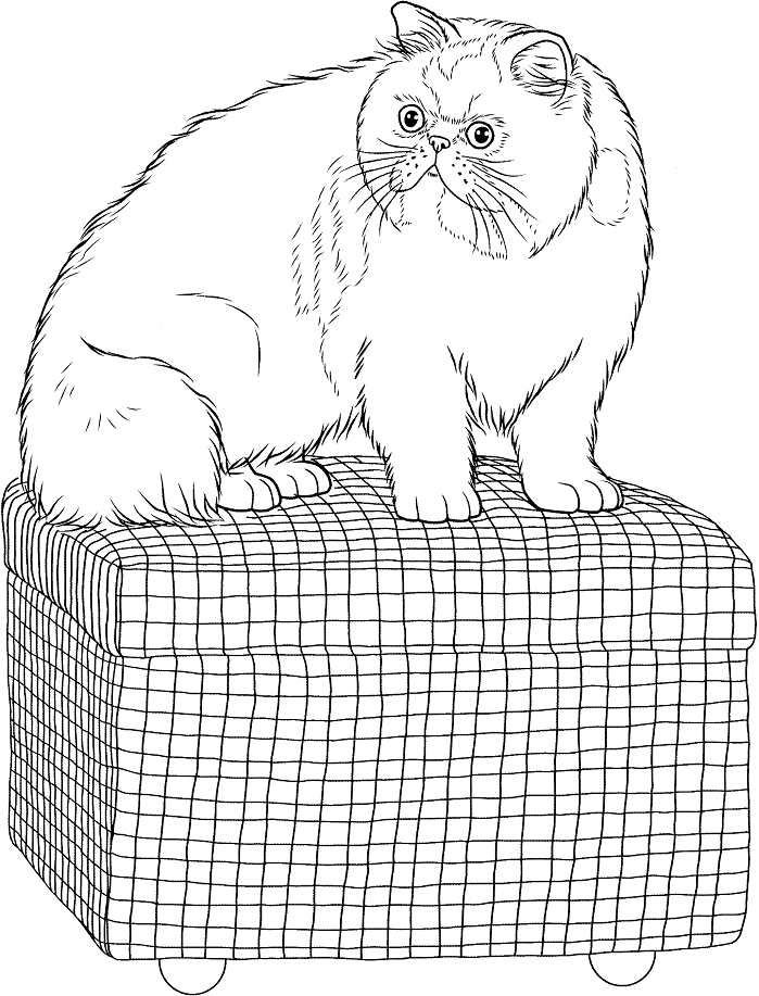170+ tranh tô màu con mèo dễ thương đáng yêu cho bé | Pusheen coloring  pages, Cartoon coloring pages, Cute coloring pages