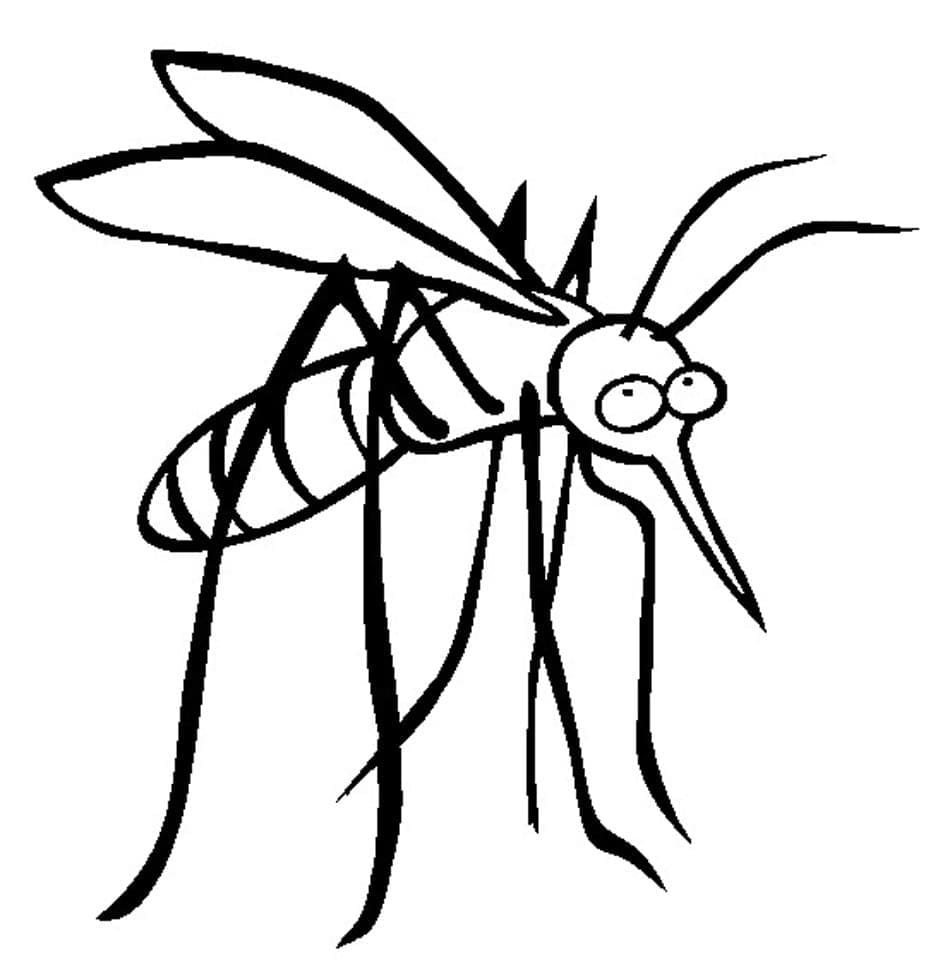 Vẽ con kiến dễ dàng cho bé – YeuTre.Net