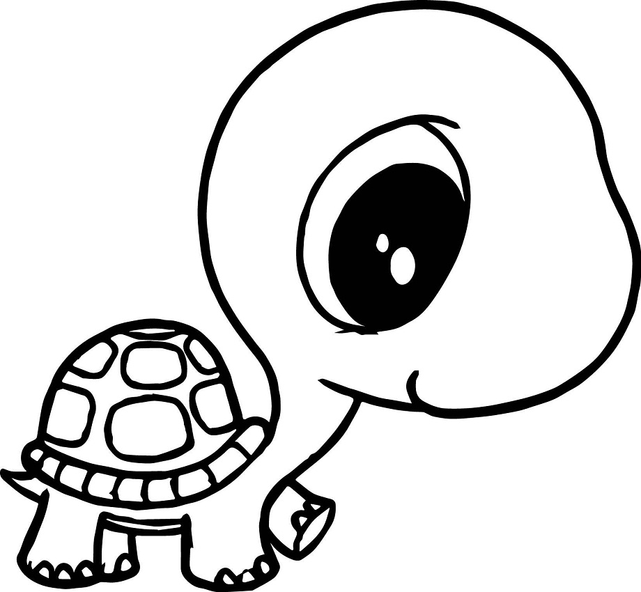 Vẽ con rùa dễ thương và tô màu long lanh cho bé ♥ Drawing Turtle Color Page  ♥ - YouTube