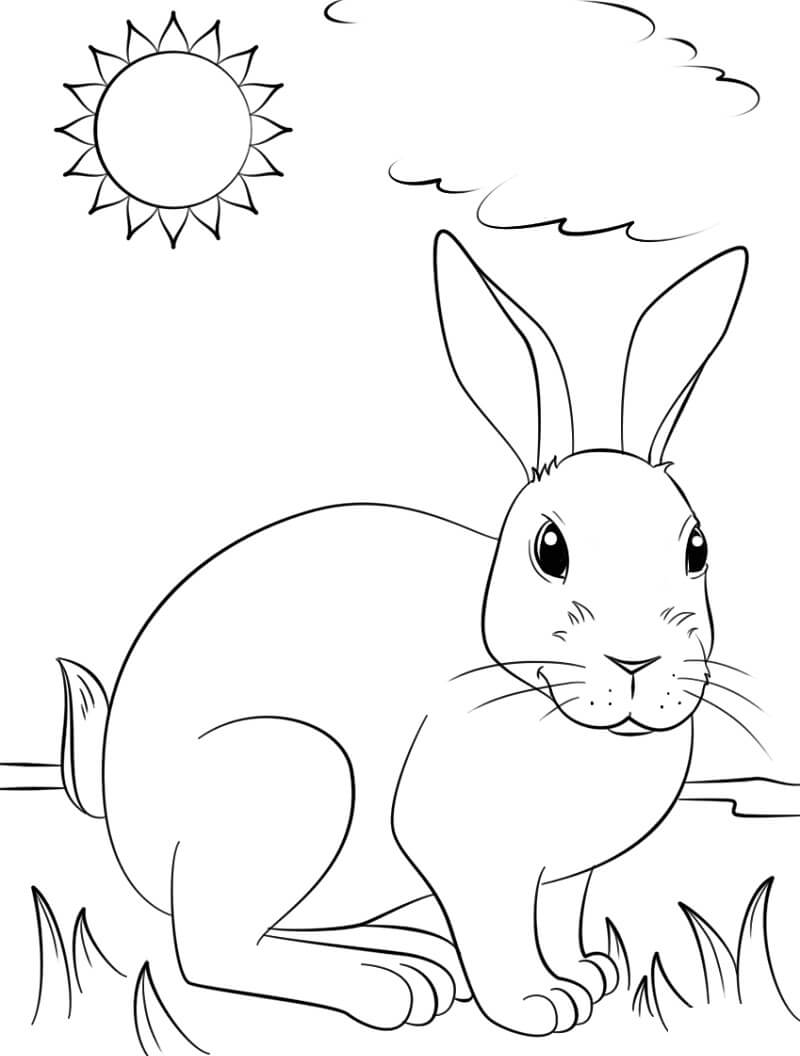 Làm thế nào để vẽ thỏ từng bước vẽ đơn giản? – YeuTre.Net