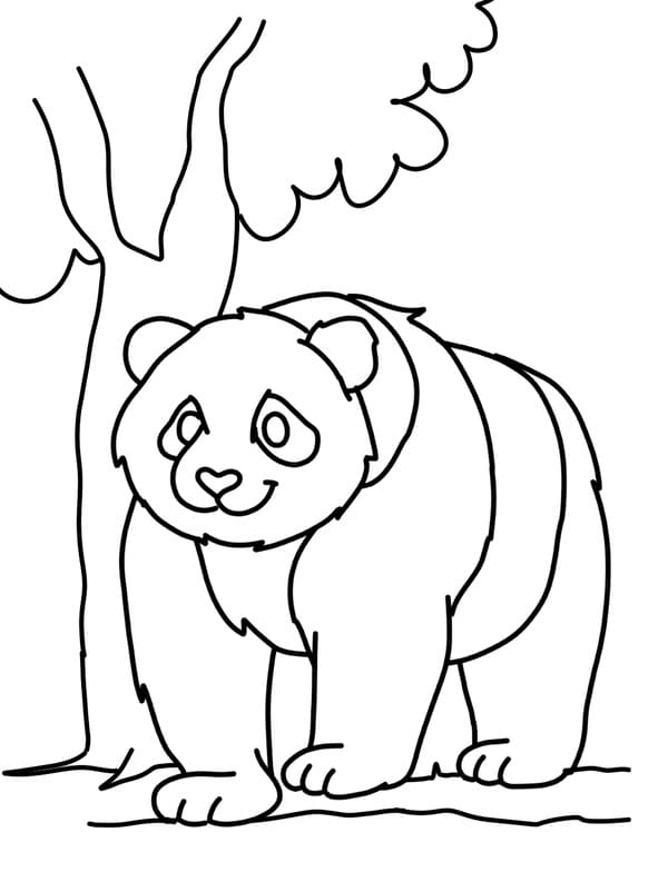 Vẽ Và Tô Màu Gấu Trúc Đơn Giản/how to draw pandas - YouTube
