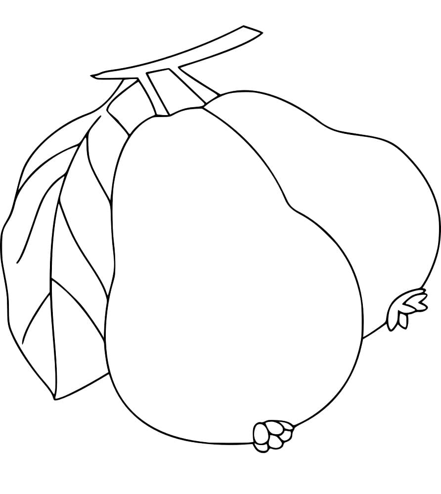 Hình ảnh Vẽ Trái Cây Dễ Thương Trang Tô Màu Kawaii Cho Trẻ Em Phác Thảo Bản  Vectơ PNG , Vẽ Dễ Thương, Vẽ Trái Cây, Vẽ Cánh PNG và Vector với