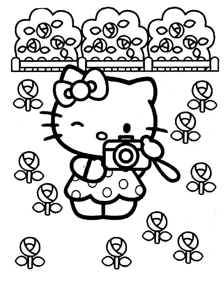 Tô màu Hello Kitty Chụp Ảnh