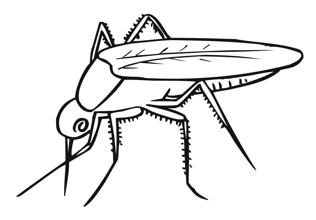 Muỗi loài côn trùng nhỏ bé khiến cả thế giới khiếp sợ