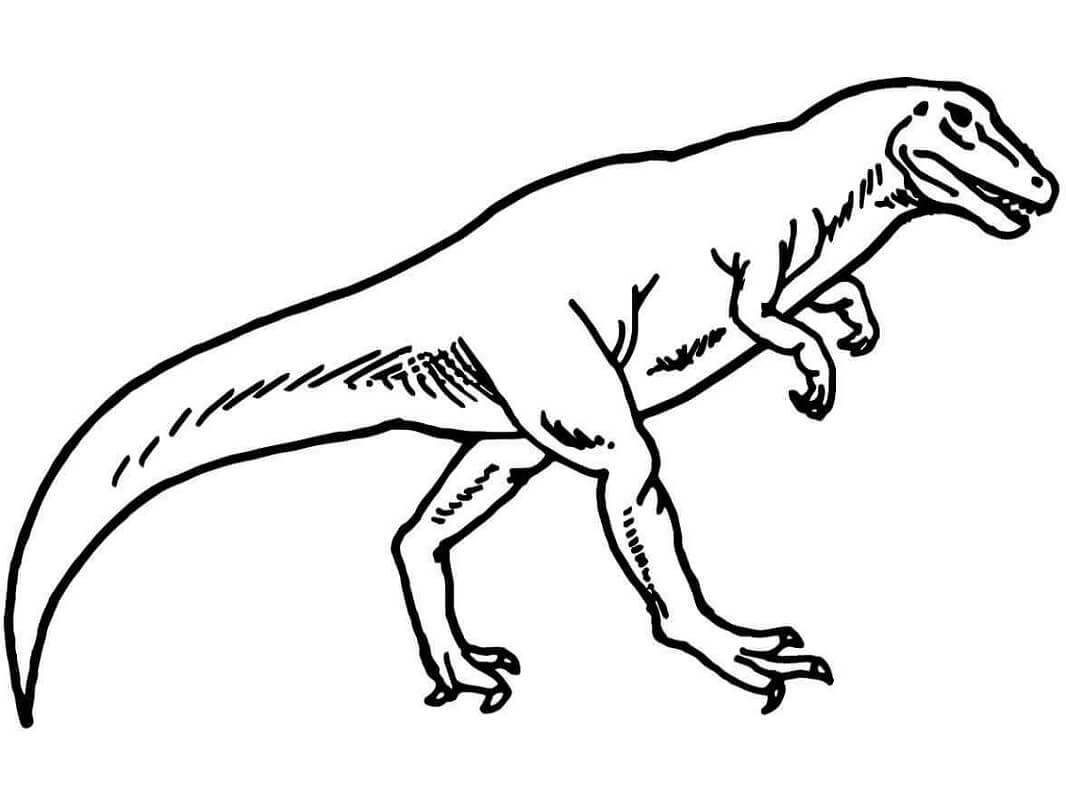 Tô màu Khủng Long Allosaurus