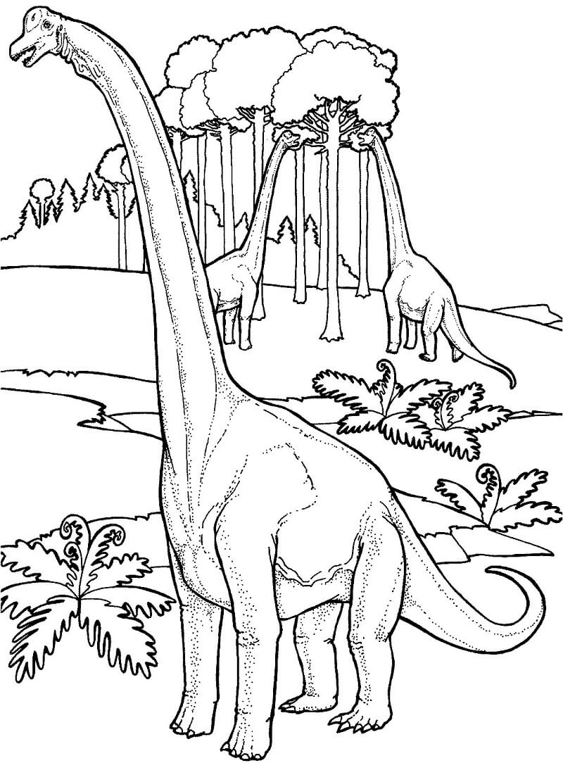 Tô màu Khủng Long Brachiosaurus