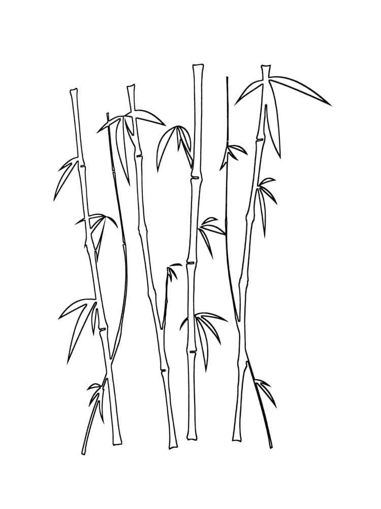 Vẽ cây tre đơn giản - vẽ tre Việt Nam - draw bamboo - YouTube