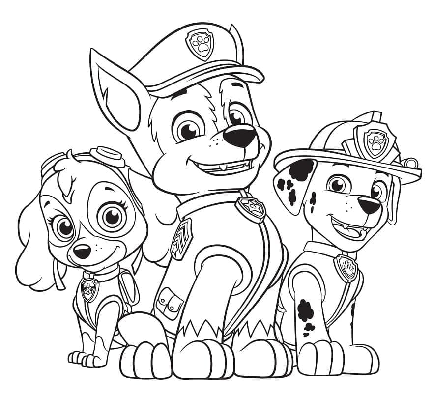 Tô màu Paw Patrol Skye, Chase và Marshall