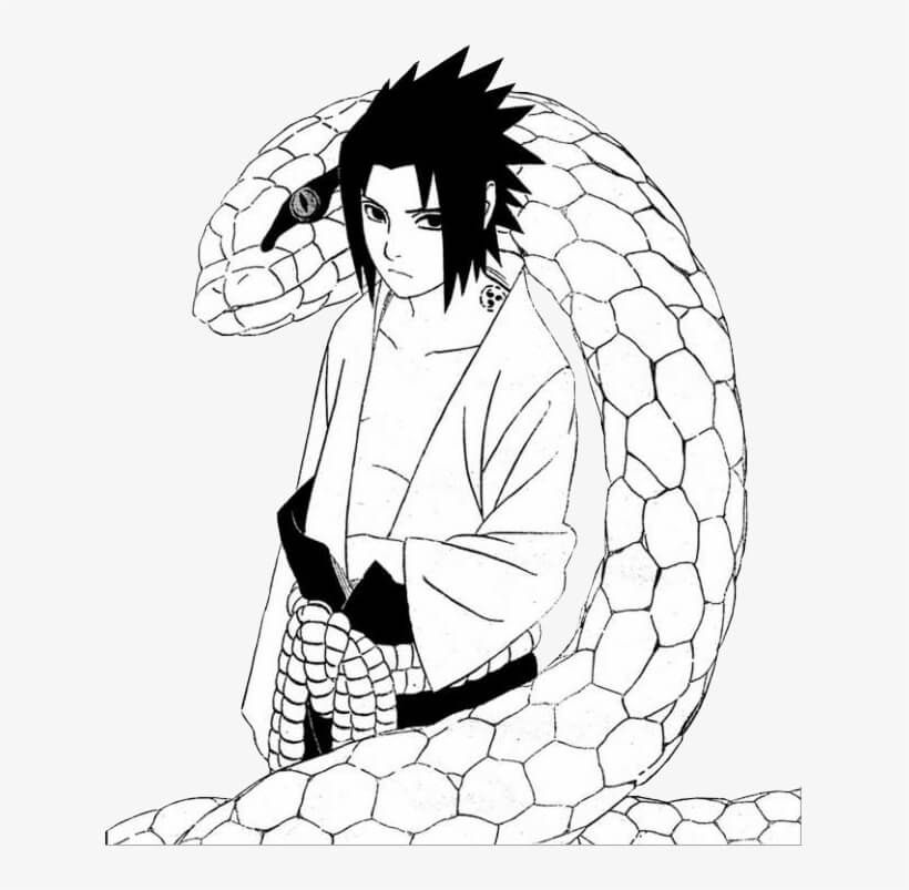 Tô màu Sasuke và Con Rắn