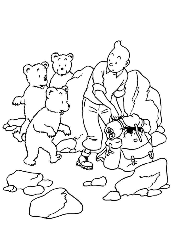 Tô màu Tintin và Những Con Gấu