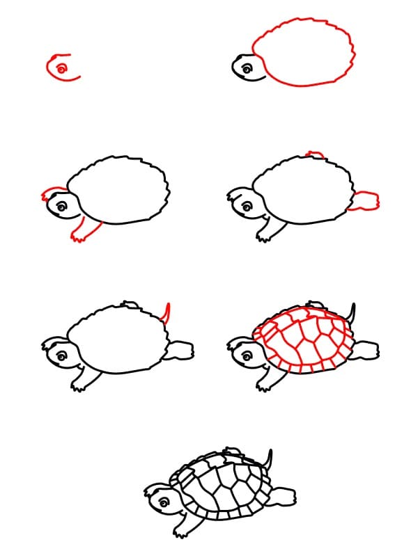 Vẽ Con Rùa