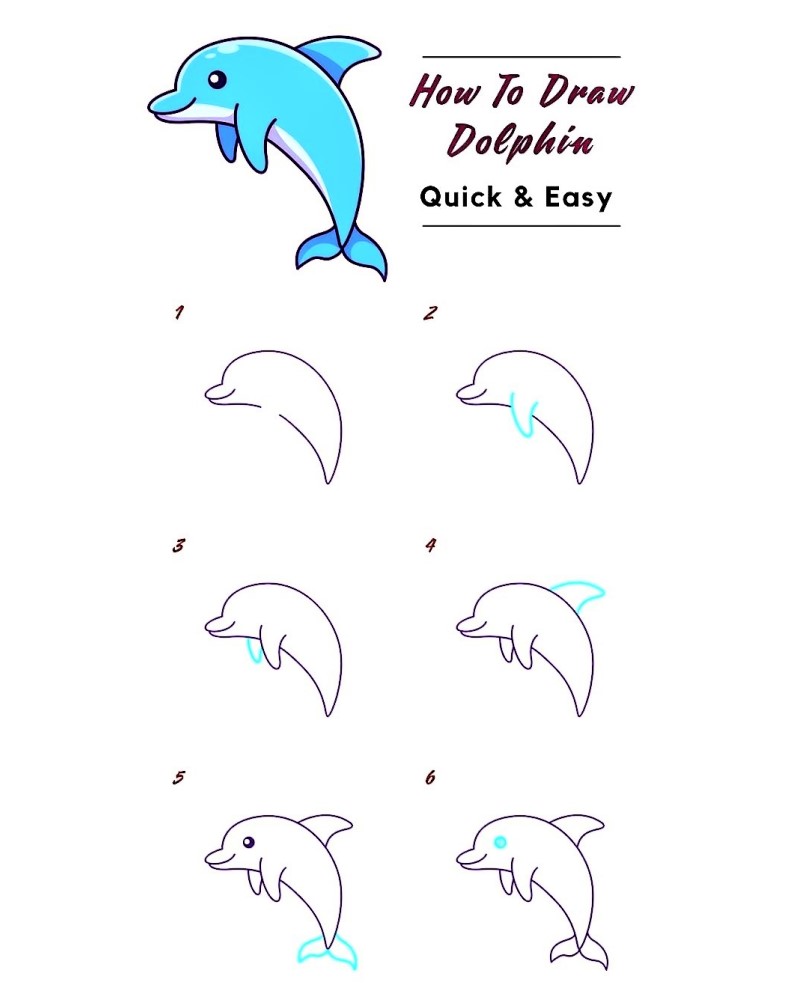 Học vẽ cá heo