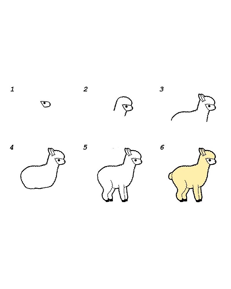 Học vẽ con cừu