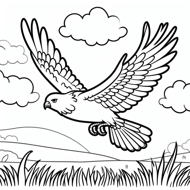 Một Con Chim Cách Điệu Cho Một Cuốn Sách Tô Màu Vẽ Tay Vector Minh Họa Đơn  Sắc Trang Trí Lông Vũ Hình minh họa Sẵn có - Tải xuống Hình ảnh