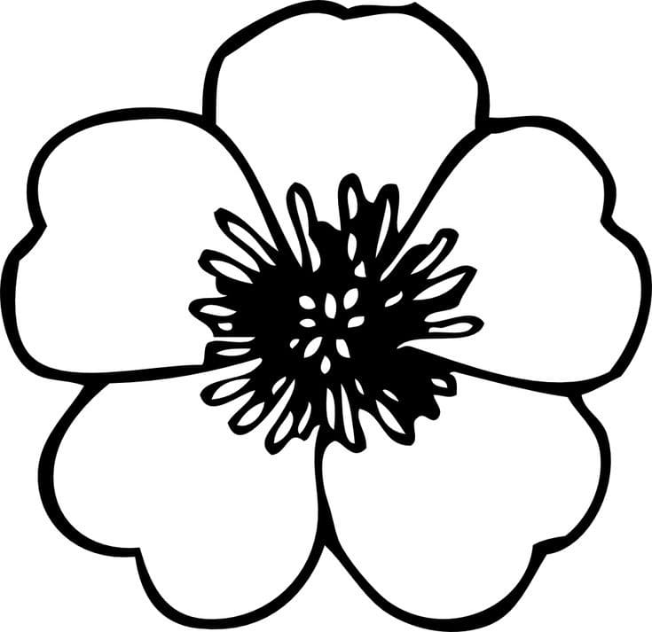 Tuyển tập bộ tranh tô màu bông hoa đơn giản, dễ tô cho bé mẫu giáo | Hình  vẽ thực vật, Hoa, Hình vẽ hoa