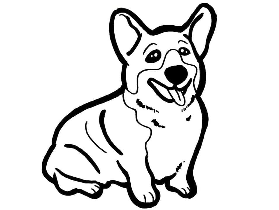 Tô màu Chú Chó Corgi